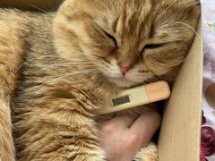 -北京赛佳动物医院