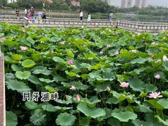 -箸福·夜上海(月牙湖公园店)
