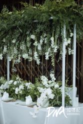 -DNA Wedding 婚礼记(上海店)