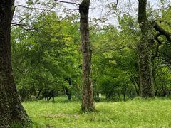-杭州植物园