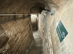 -圣母百花大教堂穹顶