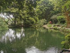 -成都市活水公园
