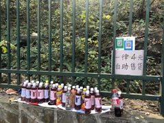 -紫金山天文台
