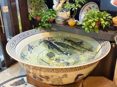 -南京金牛湖巨碗鱼头