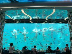 -瑞德姆美人鱼海底演艺主题餐厅(亚龙湾店)
