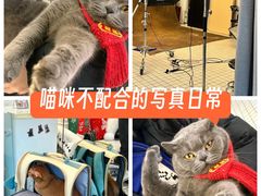 -ID.PHOTO照相馆(嘉里企业中心店)