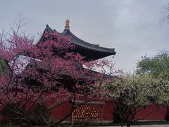 -广富林郊野公园