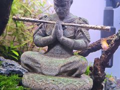 -重庆欢乐海底世界