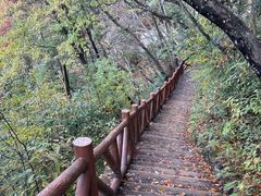 -光雾山旅游景区