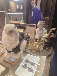 -LDIAMON西服定制(温州店)