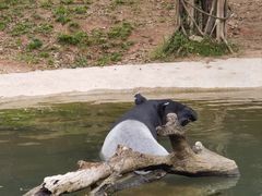 -广州长隆野生动物世界
