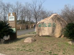 -南湖湿地公园
