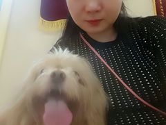 -瑞鹏宠物医院华南总院·夜诊·心脏科·骨科