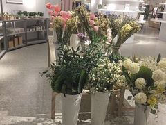 -OCE(熙地港购物中心店)