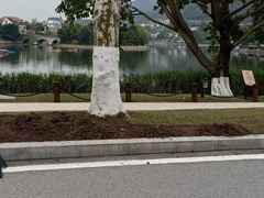 -海兰云天度假区温泉