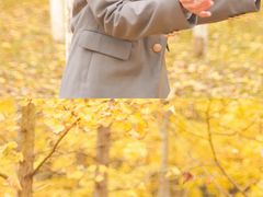 -艾溪湖湿地公园