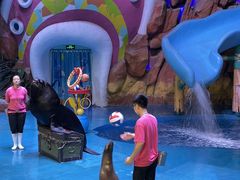 -烟台海昌鲸鲨海洋公园