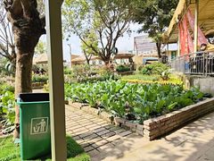 -苏记溪河鲢鱼庄(天府新区店)