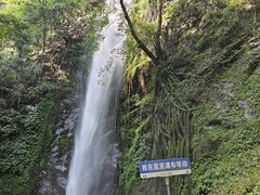 -莫里热带雨林景区