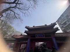 -桃花堤公园