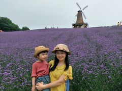 -大塘金香草谷