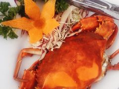 -越海渔村