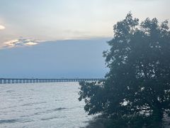 -宝安西湾红树林湿地公园