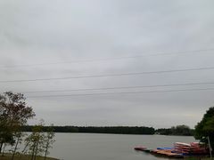 -上海海湾国家森林公园