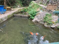 -途中饭店(开化店)