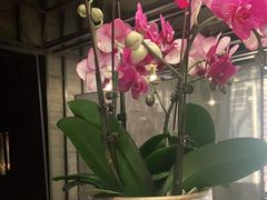 -LANN I 蘭 泰式古法按摩(徐家汇城开YOYO店)