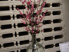 -顺风123(观音桥大融城店)