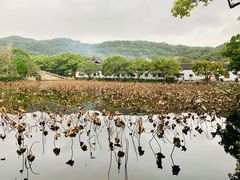 -普陀山风景名胜区-法雨禅寺