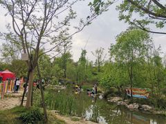 -秀丽东方