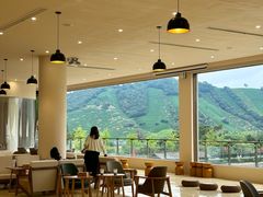 -帐篷客·溪龙茶谷度假酒店