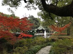 -申粤轩酒楼·三十年粤菜经典(丁香花园店)