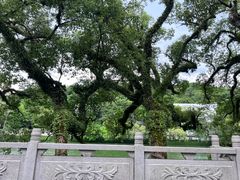 -潮州西湖