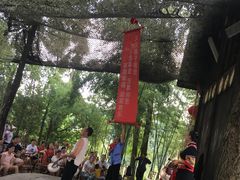 -武隆天坑寨子景区