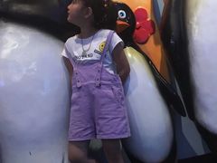 -芜湖新华联大白鲸海洋公园