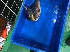 -边江铁锅炖鱼(振八街店)