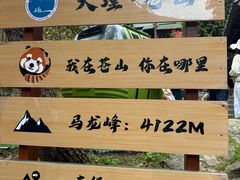 -苍山感通索道