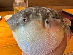 -永安鱼庄·镇江菜(丁卯店)