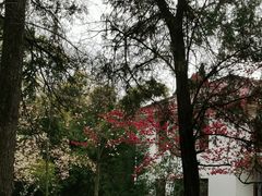 -花溪公园