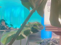 -桂满陇·蟹黄小笼汤包(巴黎春天浦建店)