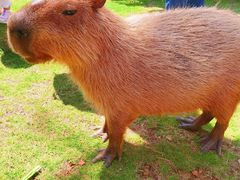 -南京金牛湖风景区