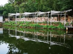 -老木棉·匠园