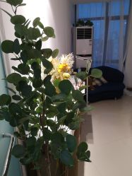 -Y2日式美甲美睫美肤沙龙