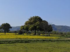 -良渚古城遗址公园