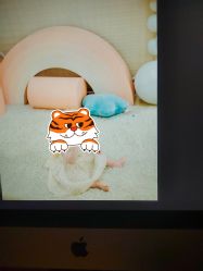 -尤尼可国际影像(万源分店)