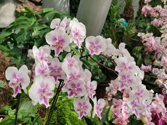 -北京植物园-展览温室