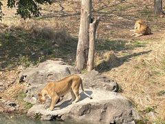 -宁波野生动物园